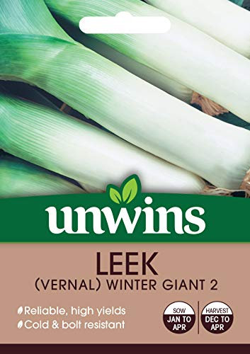 Unwins 30310615 Leek (Vernal) Winter Giant 2 Seeds, Clear