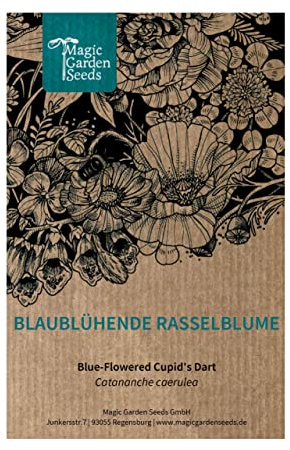Blåblommig skallerblomma (Catananche caerulea) Ca. 20 Cupid's arrow-frön för den naturliga trädgården, stenpartiet och stugträdgården