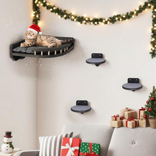 Kletterwand Katzen mit Katzenbett und 3X Katzentreppe Wand [Birkenholz] I Kratzbaum Wand I Hängematte Katze I Katzenwand I Wandkratzbaum I Katzen Kletterwand | Katzenmöbel