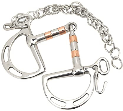 Morso per cavallo Pelham in acciaio inox, accessorio per cavalli, anello a D, con catena, per bocca di cavallo da 125 mm