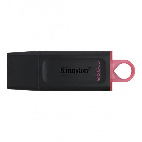 Memoria USB 256GB - USB 3.2 Gen 1 - con Tapa y Enganche para Llavero - Ideal para Almacenamiento portátil y Transferencia de Datos.