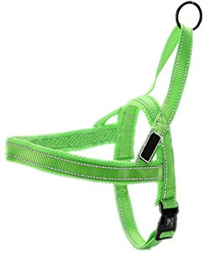 Hundegeschirr Mesh Welpengeschirr Nylon Norwegergeschirr Soft Vest Harness Brustgeschirre Reflektierende Sicherheitsgeschirr Brustgurt für Kleine, Mittlere und Große Hunde (XS, grün-a)