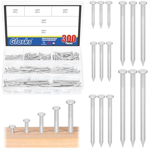 Glarks 300pcs 20/30/40/50/60mm Ziegel Stahl Nägel Kit, weiße Zink Kohlenstoff Stahl Hardware Nägel, Finishing Nägel, Brad und Bild hängende Nägel, Holz Nägel, Zement Nägel für Trockenbau und Kiefer