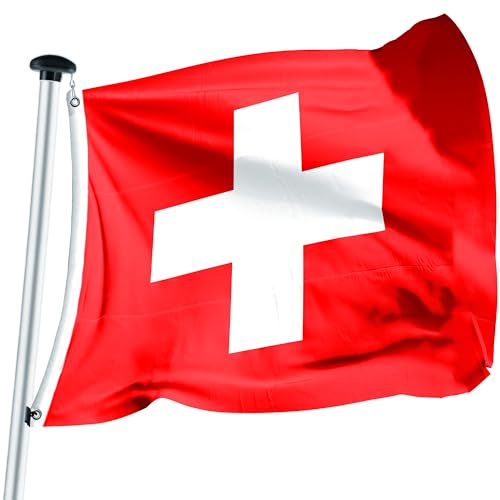 FLAGLY Premium Schweiz Flagge 100 x 100 cm – Fahnenpolyester 115g/m² Stoffgewicht - robust und witterungsbeständig mit Ösen (100 x 100 cm, Schweiz)