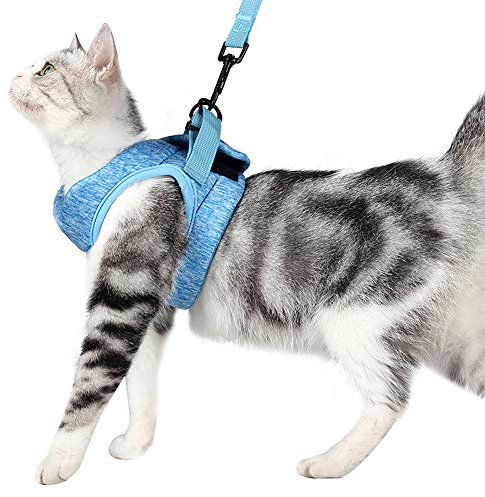 Ausbruchsicheres Katzengeschirr und Leine, ultraleichtes Katzengeschirr, verstellbar, weich, für Kaninchen, Katzen, Größe L, Blau