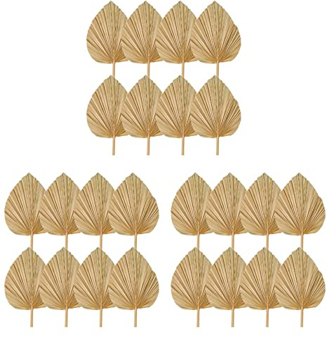 Uikdjgu 24 Uds. Decoraciones de Hojas de Palma Secas Recortadas, Abanicos de Palma de Lanza, Flores de Boda Tropicales Secas, Decoración de Boda