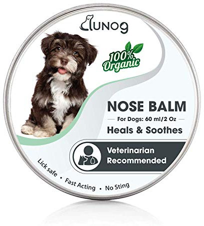 3PC Metal Matt Grey Pet Food Storage Set: Pet Food Tin, Pet Treats Tin & Serving Scoop