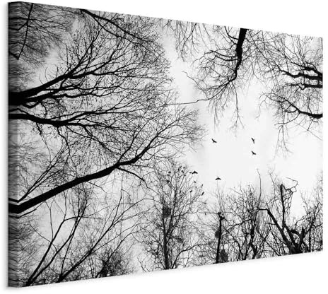 murando - Akustikbild Natur schwarz weiß, 120x80 cm, 1-teilig, Schallschutz | Verbessert Raumakustik, reduziert Hall, ideal fürs Büro oder Wohnzimmer, hochwertige Verarbeitung, schnelle Montage, stilvoll