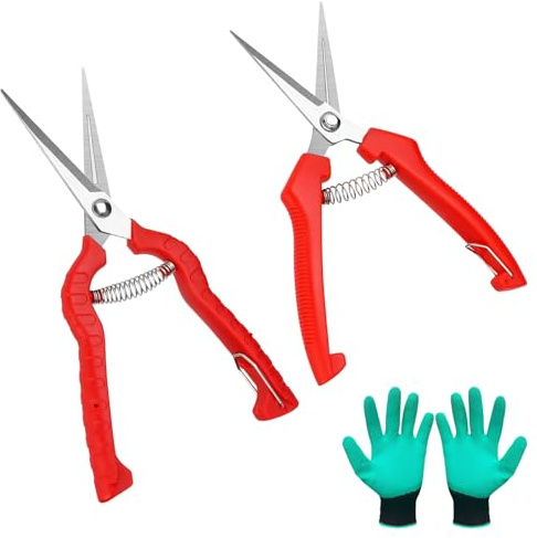 Trendecor 2 tijeras de podar pequeñas con guantes de jardín, tijeras de podar, bonsái, tijeras de podar, tijeras de podar, tijeras de cultivo, tijeras de jardín para bonsái, plantas, flores, cosecha,
