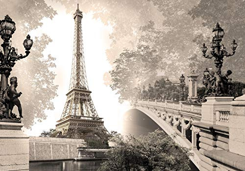 wandmotiv24 Photo murale Pont de la tour Eiffel Paris France L 300 x 210 cm - 6 pièces photo, papier peint non tissé Paysage de ville vieux sépia M4671