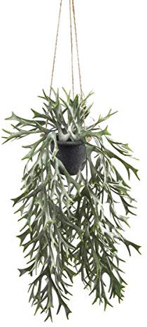 Artificielles.com - Platycerium Kunstfarn im hängenden Topf, L 35 cm, D 24 cm