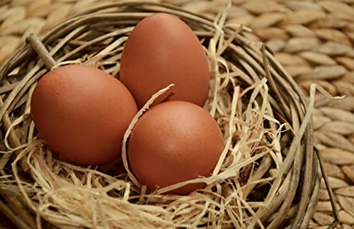 Holzwolle 1 kg Fichte natur unbehandelt Füllmaterial Deko Füllen Basteln Verpacken Polstern