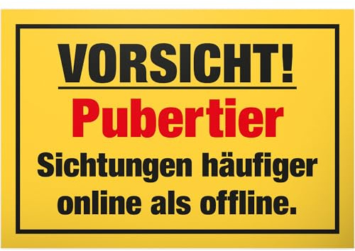 DankeDir! Pubertier - Kunststoff Schild 30 x 20 cm - Geschenkidee Teenager Spruch Zimmer Türschild Jungen & Mädchen Jugendzimmer - Dekoration Zimmer Deko Geschenk Idee Jugendliche Tür Deko Geburtstag