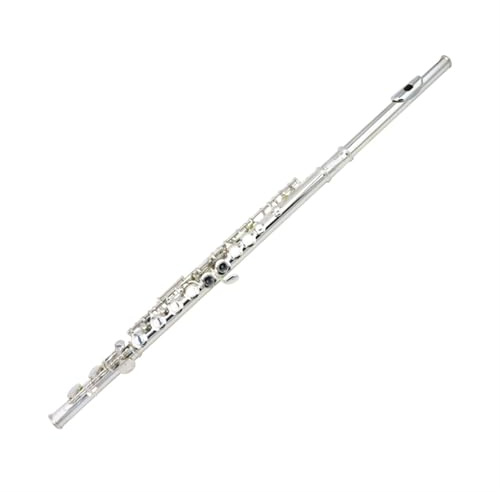 Querflöte Instrument Flöte Instrument Anfänger 16 Loch E Key Split Versilbert Professionelle Leistung Prüfung