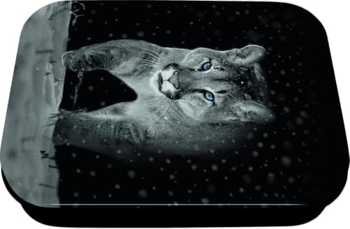 Oberthur - 1 Boîte à Bons Points en Métal - Visuel Cougar/Puma - Dimension 8 x 11 x 2,5 cm