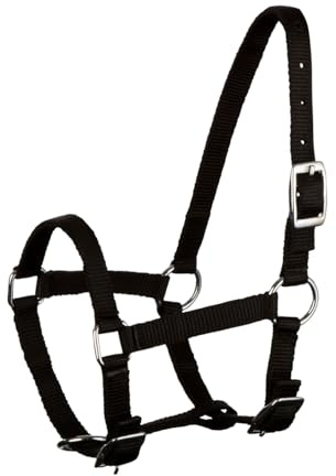 Fohlenhalfter, verstellbares Halfter für Fohlen, robuste Struktur, Dornschnalle, ideal als erstes Stallhalfter