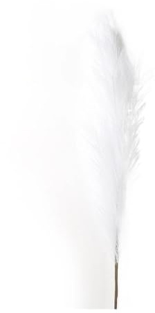 LuminaCreek Hierba de la Pampa Artificial Grande de 90/120 cm, Flores Decorativas for Mesa de Fiesta, decoración de Bodas, Hierba de caña esponjosa(White,120CM)