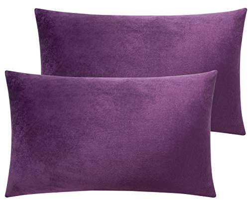 NTBAY 2 Pack Zippered Velvet Standard Pillowcases, 50x75 cm, Pastel Purple