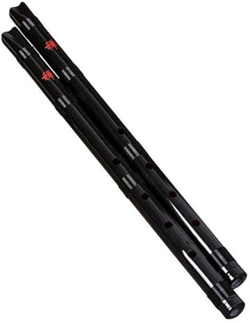 Handgefertigte Natürliche Bambusflöten, Kurze Shakuhachi-Flöte Xiao Für Chinesisches Traditionelles Musikinstrument Von Brginner (Color : 1.0)