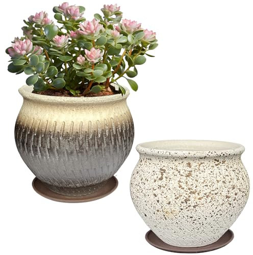 MUZHI Haworthia - Set di 2 vasi per piante grasse in terracotta traspirante, con vassoio, finitura opaca, per cactus, 12,7 cm