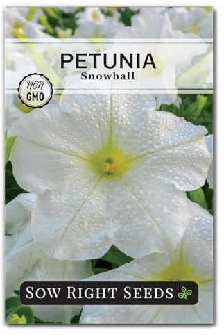Sow Right Seeds - Snowball Petunia Seeds for Planting Outdoors - Non-GMO Heirloom Variety - Dwarf Flower - Easy to Grow White Petunias - Ideal for Flower Beds, Garden Borders, Containers (1)