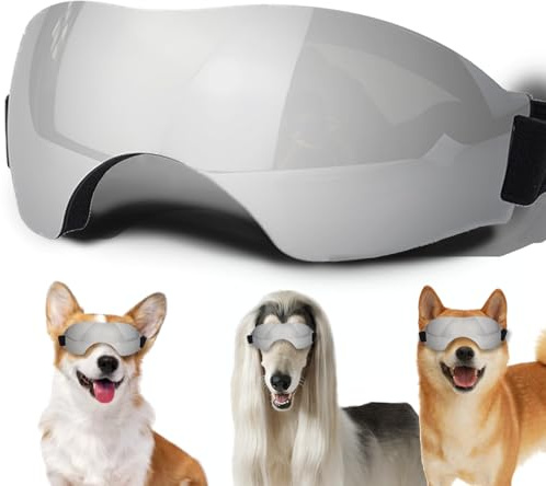 Mittelgroße Hundesonnenbrille, Hundebrille mit verstellbarem Riemen, UV-Schutz, Winddicht, geeignet für mittelgroße Hunde, Haustierbrillen, Augenschutz