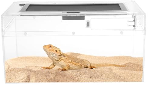 Mini Reptile Terrarium, 30x18x15cm Vivarium with Convenient Feeding Holes and Metal Mesh Vents, Reptile Growth Habitat Tank for Small Fish, Insect, Snail, Gecko, Tarantula, Bearded Dragon
