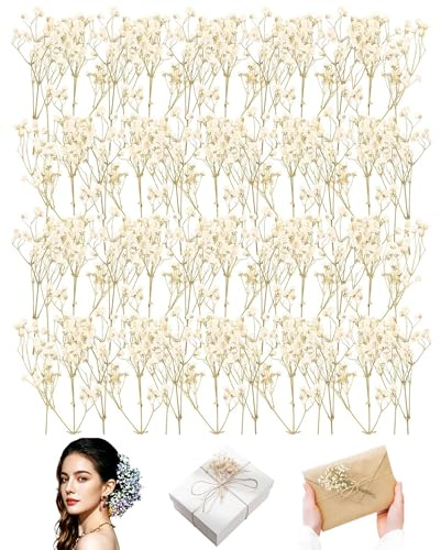 ZAMXHUG 50 Fiori Secchi Decorativi, Fiori Secchi per Bomboniere, veri bianchi naturali pressati, erba vela secca per fai da te, esemplari botanici, cornici nail art
