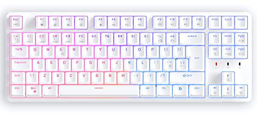 CIY Mechanical Gaming Keyboard+Magnetically Detachable Upper Cover+RGB LED Rainbow+TENKEYLESS (88 Key)+Hot Swap Switches (White and Red Switch)