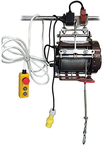 Warrior 110V 500KG Scaffold Hoist with 4m Pendant Remote Control – 30m Steel Cable, Portable, Hooks and Easily Mounts to Scaffolding, Overhead Lifting, Electric Pulley System, Ideal for Garage