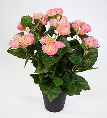 Seidenblumen Roß Begonie 38cm rosa im Topf LM Kunstpflanzen Kunstblumen künstliche Blumen Pflanzen Begonienbusch