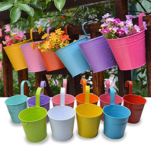 Trongle 10 PACKS Metal Iron Flower Pot With Detachable Handle, Small Garden Plant Pot Vase Hanging Garden Planter Holders Indoor and Outdoor Home Decor