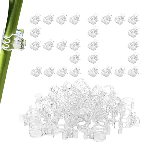 Clips de Vigne | Pinces de Support pour de Jardin – Clips de Fixation – pour Jardin, intérieur et extérieur, légumes, Fleurs, tomates, orchidées, pothos jardiniers