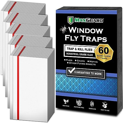 MaxGuard Trampas para Moscas de Ventana (60 trampas XL) atrapa y Mata Moscas domésticas, Insectos voladores e Insectos. Trampas de Pegamento Adhesivo no tóxicas, matamoscas de Tira Transparente,