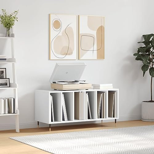 prissent Disc-Möbel weiß glänzend 100 x 38 x 48 cm aus Sperrholz Bücherregal schmal Lowboard Möbel Wohnzimmer TV-Schrank Schallplatten Vinyl Regal CD Regal Holz Schrank CD Halter