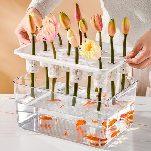 Altsuceser Hydrokultur-Pflanzgefäß für Aquarien, transparent, mit 12 Hydrokultur-Pflanzkörben, Anzuchtvasen, Aquarium-Pflanzgefäße für Zimmerpflanzen, Hydrokulturpflanzen, Terrarium, Aquaponisches Fi