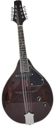Mandolin Eight-string Mandolin Instrument Electric Mandolin Ethnic Instrument Tibetan Mandolin(C)