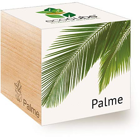 Feel Green Ecocube Palme, Nachhaltige Geschenkidee (100% Eco Friendly), Grow Your Own/Anzuchtset, Pflanzen Im Holzwürfel, Made in Austria