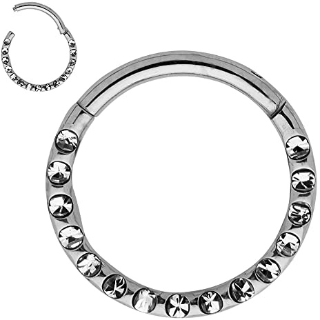 365 Sleepers (6mm) G23 Anillo de segmento con bisagras de gema unisex de titanio Helix Tragus Septum Clicker Nariz Labio Aro Pendiente Piercing para el cuerpo Joyería