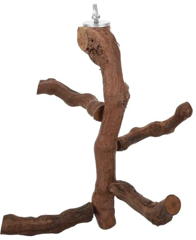 Toddmomy Natürliche Vogel spielstange aus Holz und Weinrebe Papageien Sitzstange für Wellensittiche und Kleine Vögel Kletter Balancierhilfe für Vogelkäfig Zubehör und Spielspaß