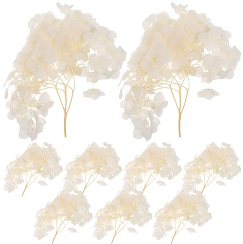 PACKOVE Pétales D'hortensia Séchés Beige pour Décoration Vintage Mariage et Centre de Table, Fleurs Naturelles Préservées pour Usage Polyvalent, Set 1 Pièce