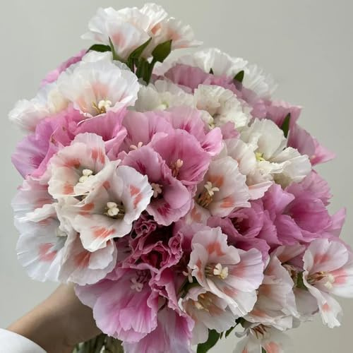 semi di azalea estiva, luoghi soleggiati di azalea estiva resistenti all'esterno primaverile, selvatici, ombra decorazione 60pcs