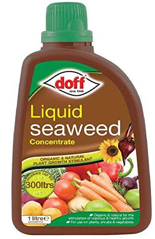 6 x Doff 1L Liquid Seaweed Concentrated Multi-Purpose Feed