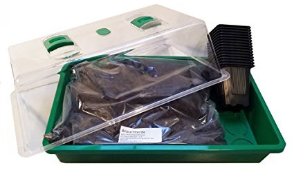 Seedeo® Zimmergewächshaus easy growing Komplettset