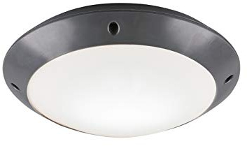 Reality Leuchten R60501042 - Lampada da soffitto per esterni Camaro, in plastica, colore: Antracite/Bianco 1 x E27.
