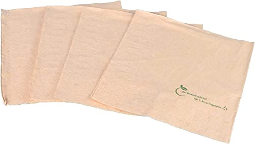2000 Bio Servietten Napkins Recycling Tissue Papier 33x33cm (gefaltet auf 16,5x16,5cm) 2lg 2-lagig 1/4 Falz braun natur mit Bio Neutraldruck
