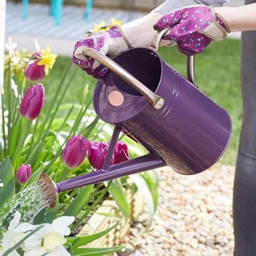 Garden Mile Regadera de 9 L para plantas al aire libre durante todo el año, hecha de acero galvanizado, para jardín, con asa y rosa desmontable, resistente al óxido