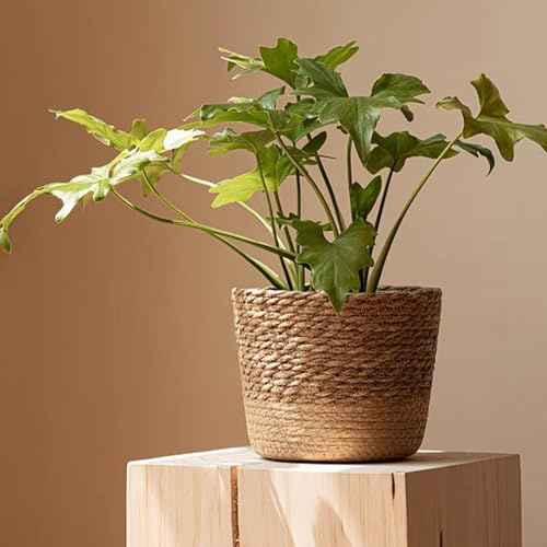 Generisch Macetero trenzado, maceta de 40 cm de diámetro, cesta para plantas, cesta de mimbre de mimbre de ratán, cesta de almacenamiento hecha a mano (M)