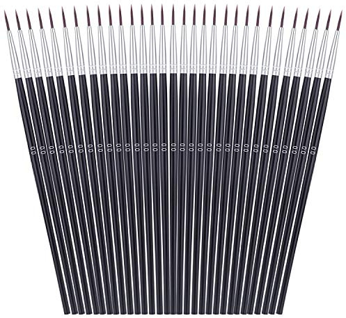 Anezus 30 Pcs Pack of Synthetic Sable Fine Detail Paint Brushes Set for Miniature, Scale Model, Art Painting in Acrylic, Oil, Watercolor
