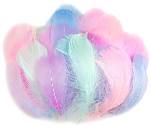 AOOTE Piume Decorative, 100 PCS Piume per Artigianato, Naturali Piuma per Artigianato Fai da Te, Adatto DIY Crafts Decorazione Pasqua Natale Decorazione Personaggi(Macaron di Colore Chiaro)